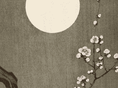 이화영(梨花影) -배꽃그림자 02