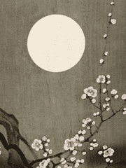 이화영(梨花影) - 배꽃그림자