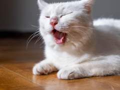 하하하 shift 반영 완료