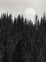 CoC 7판 시나리오