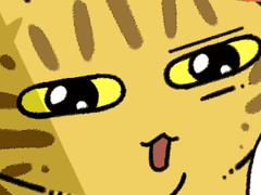 고양이 언어를 번역해보았다.