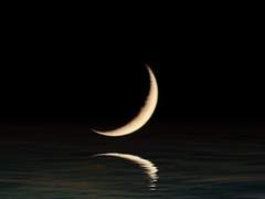 월영 / 18 / XY / 올름