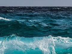 드림 연성 백업 (21년)