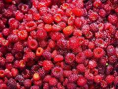 사랑하는 내 친구