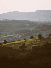 젤다플레이일지