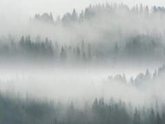 주카이에 낀 안개