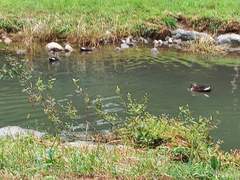 꿀잠이 좋구나!