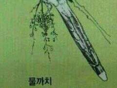 좋은사람들과 좋은날~~~