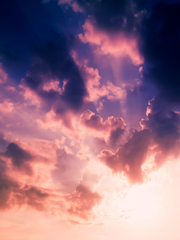 병든 사랑 노래