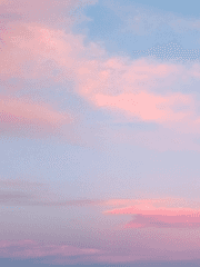 초능력 세계여행 동호회에서 벌어지는 .