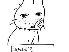 물가의 밤 후기