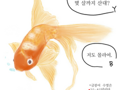 [여단] 눈새도 한 끗 차이