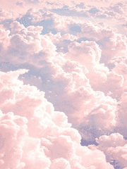 트위터 썰 백업