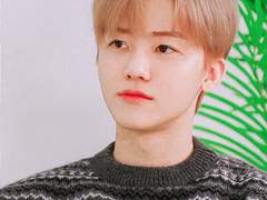 합리적 양다리 20