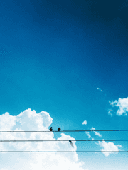 [쿠로바스/드림] 키세 료타와 나의 7일간