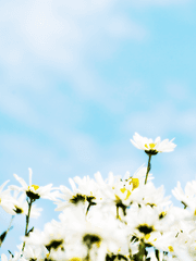 [도리벤/드림] 요즘 애들은 무서워