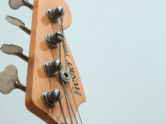 쌍둥이 자리-(3)