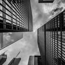 회색 하늘 밑에서