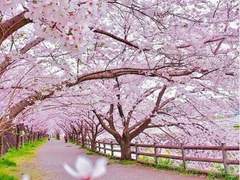 그날, 우리의 세계.