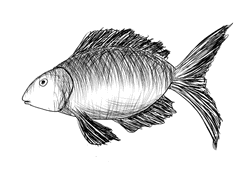 마고 루가/성직자