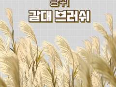 냥쥐 갈대 브러쉬