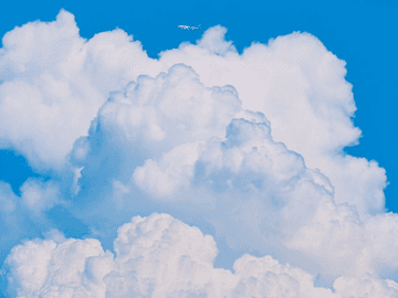 여름의 대삼각형