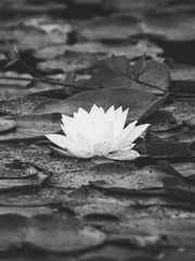 자캐 과거 정리