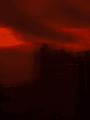 재와 사랑의 미래