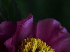 앤오가 원해서 만들어보는 행복서사