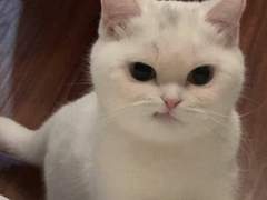 제목을?입력하세요.