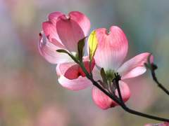 디자인 참 잘 됐다