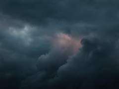 [주컨곤] 암시장과 우리 기사님