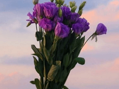 01. 살갗과 뼈에 새기다