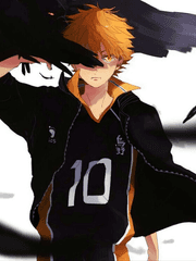 [흑쇼요른/HQ!! x Hollow Knight] 공허 속의 광휘