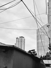 회색 하늘 밑에서 