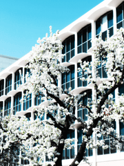 [카라마리/드림] 비를 긋다