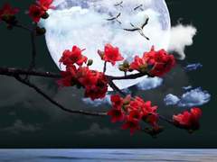 [광마회귀] 해와 달이 만나는 시간에 하는 약속은 깨지지 않는다.