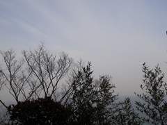 타츠마요/ 헤어짐의 거리1