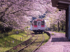 #00. 세상의 마지막 기차역