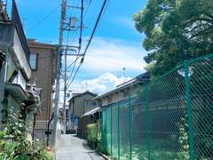 여름날의 소년을 좋아하세요?