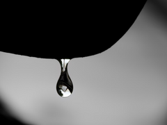 [진른] 소금비 - 30