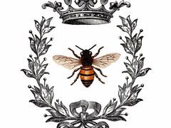 [햄른/켠총] 𝑄𝑢𝑒𝑒𝑛 𝐵 - 𝑃𝑟𝑜𝑙𝑜𝑔𝑢𝑒