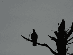 종이 위로 그어진 활자, 그 두 번째.