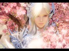 나인테리아 설정