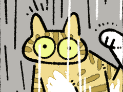 비에 적응하는 순서