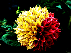 학생 개인정보를 열람하시겠습니까?