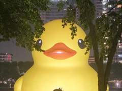 사주의 병화를 무엇으로 쓸 것인가