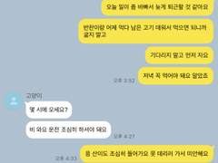 만약 고양이를 주웠다면 中