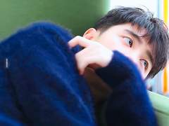 도배우 version2 4