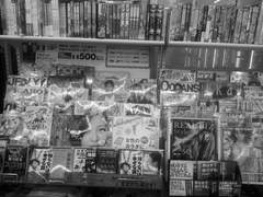 통각의 소실점 下